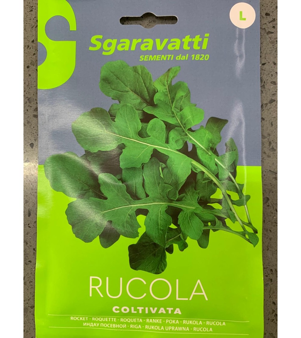 Semi di Rucola Coltivata - Sgaravatti