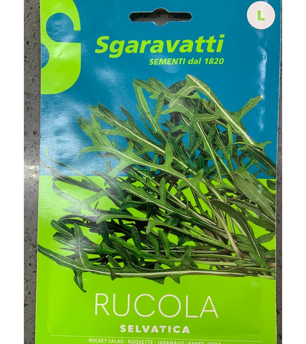 Semi di Rucola Selvatica - Sgaravatti