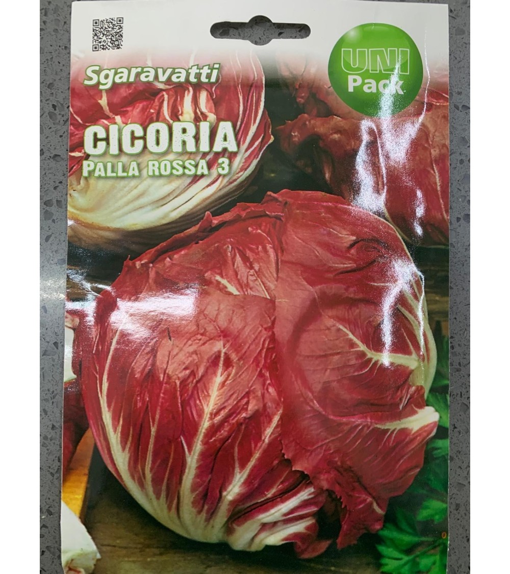 Semi di Cicoria Palla Rossa 3 - Sgaravatti