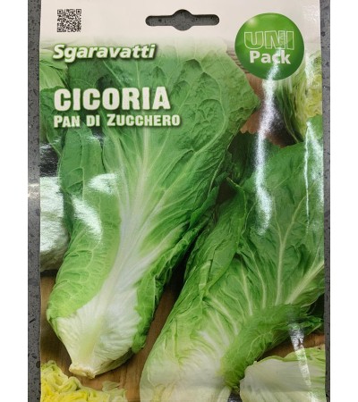 Semi di Cicoria Pan di Zucchero - Sgaravatti