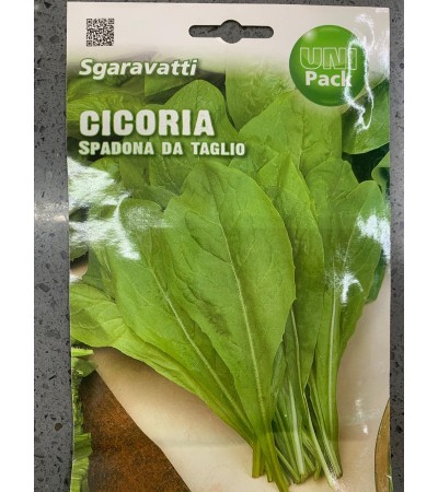 Semi di Cicoria Spadona da Taglio - Sgaravatti