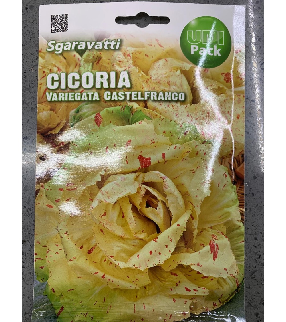 Semi di Cicoria Variegata Castelfranco - Sgaravatti