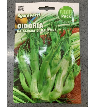 Semi di Cicoria Catalogna di Galatina - Sgaravatti