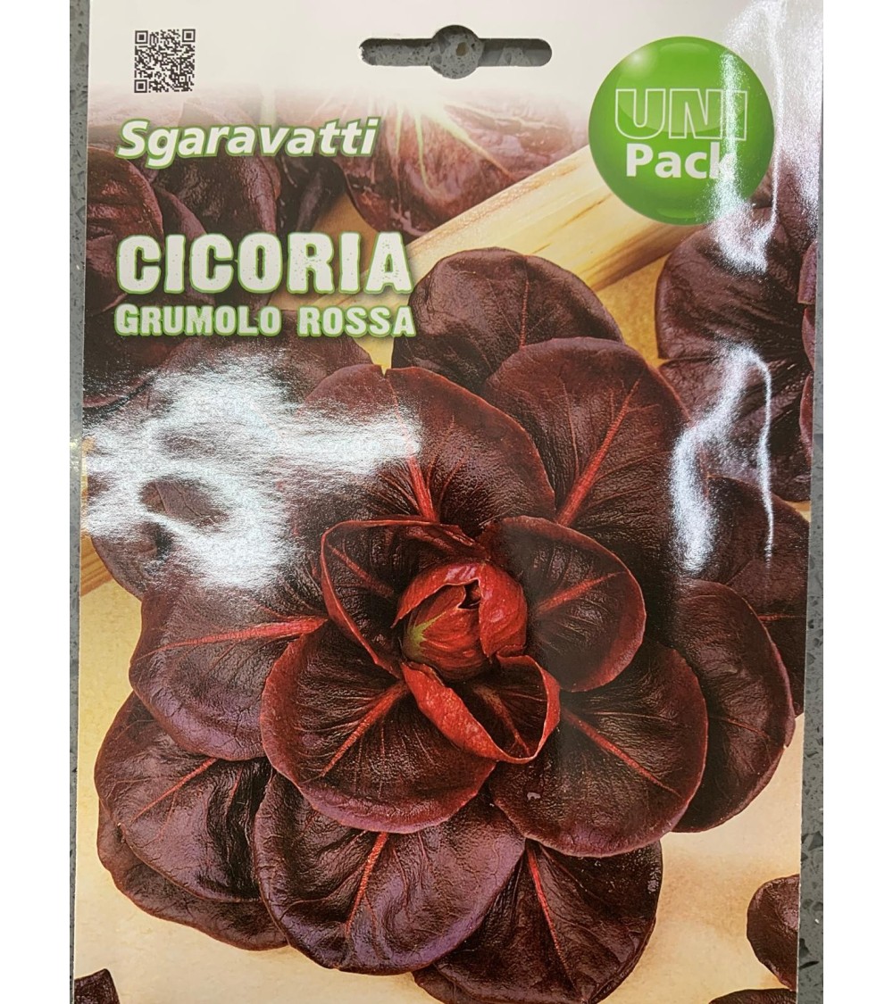 Semi di Cicoria Grumolo Rossa - Sgaravatti