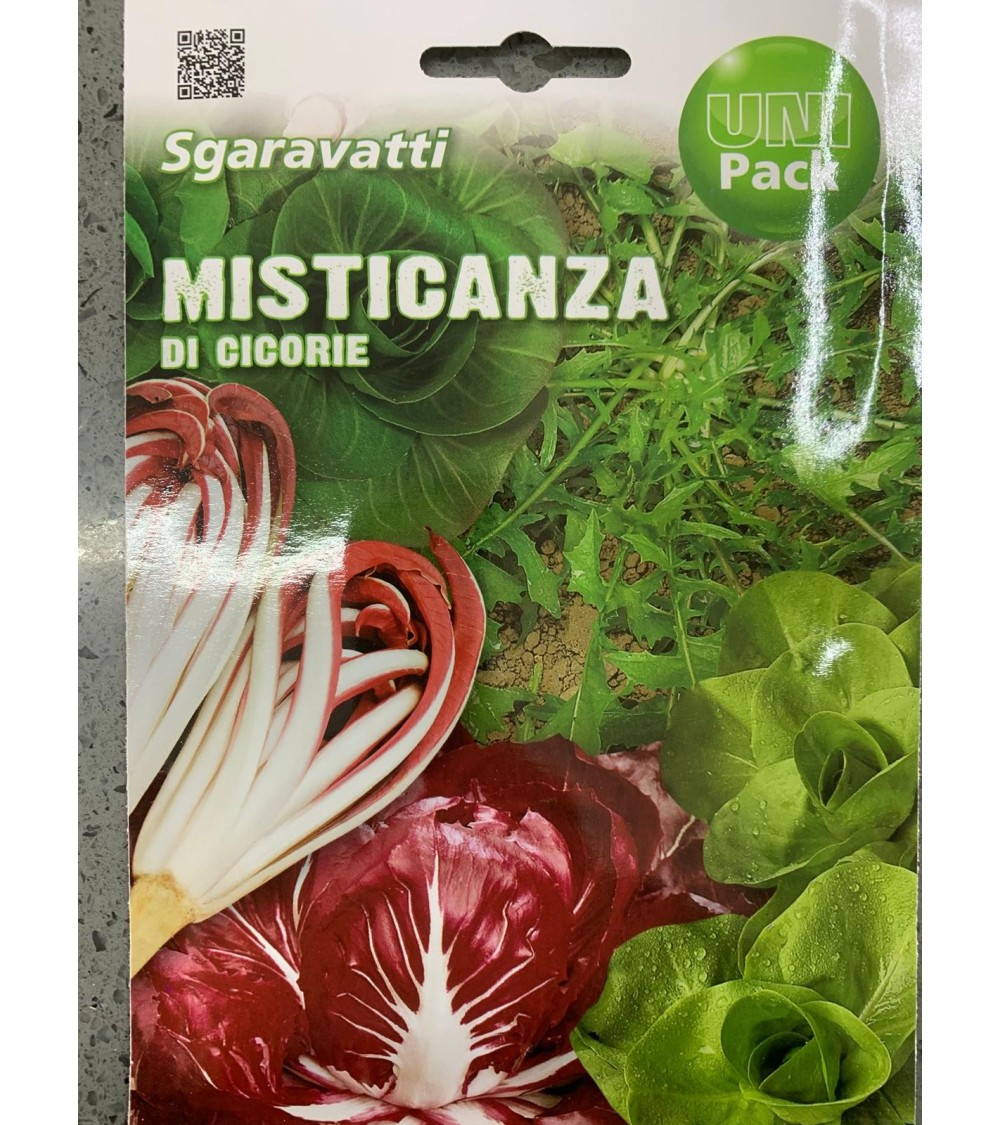 Semi di Misticanza di Cicorie - Sgaravatti