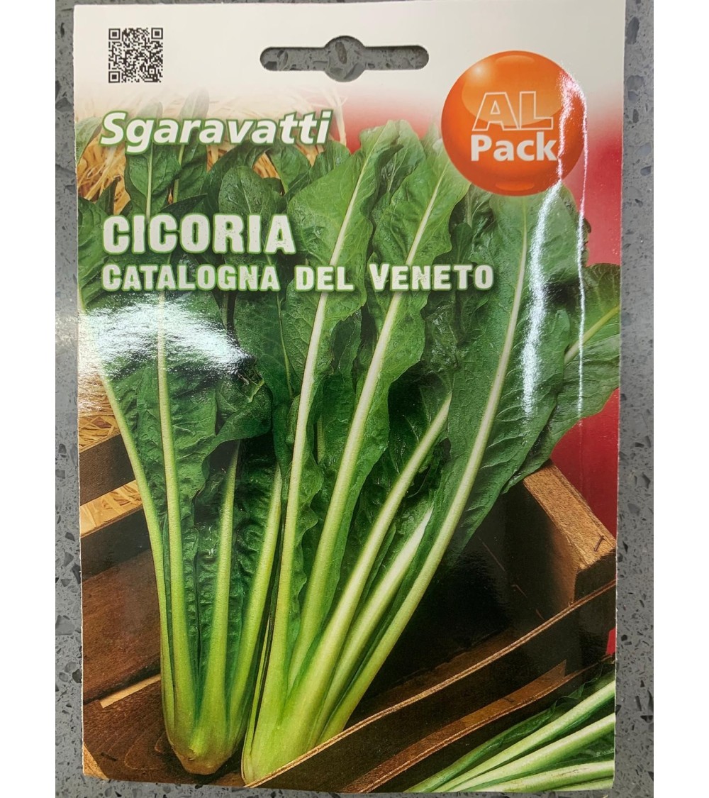 Semi di Cicoria Catalogna del Veneto - Sgaravatti