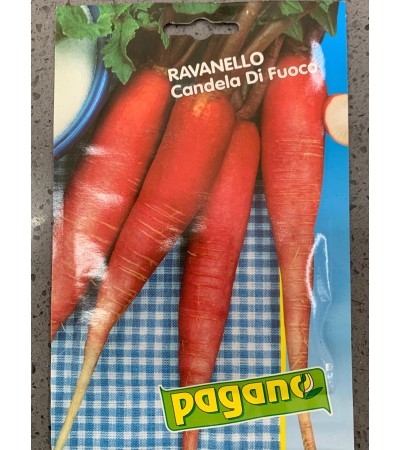 Semi di Ravanello Candela di Fuoco - Pagano