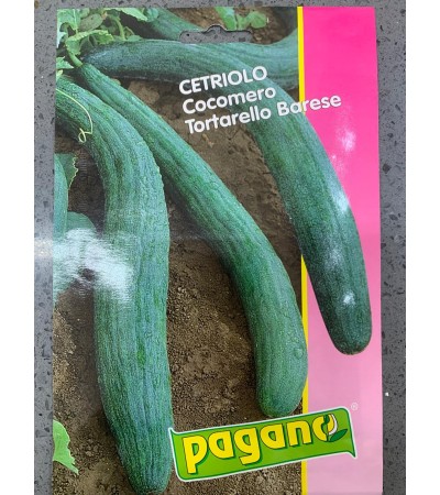 Semi di Cetriolo cocomero tortarello barese - Pagano