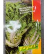 Semi di Indivia Riccia Pancalieri a Costa Bianca - Pagano
