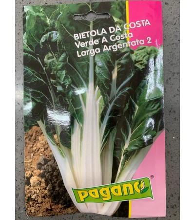Semi di Bietola da Costa Verde a Costa Larga Argentata 2 - Pagano