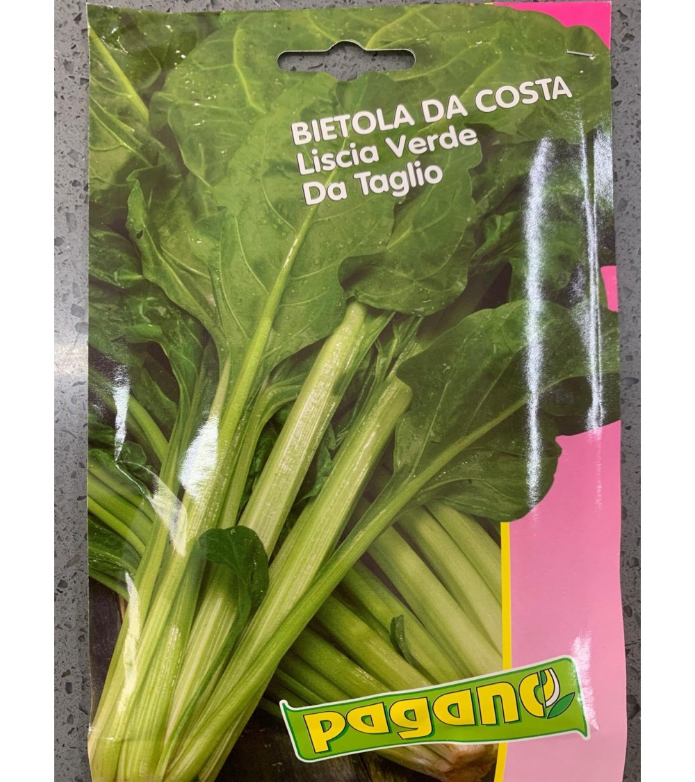 Semi di Bietola da Costa Liscia Verde Da Taglio - Pagano