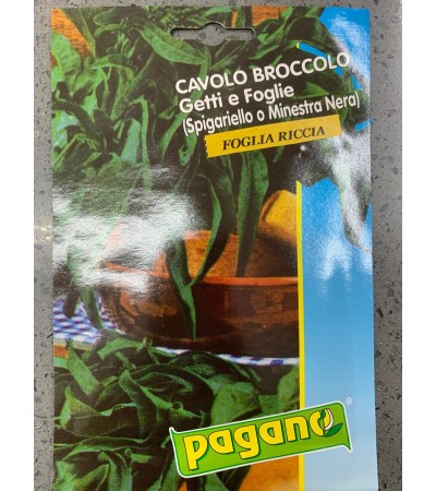 Semi di Cavolo Broccolo Getti e Foglie (Spigariello o Minestra Nera) Foglia Riccia - Pagano