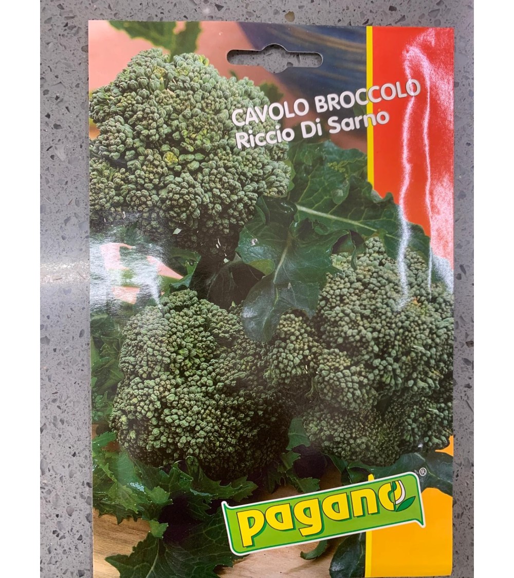 Semi di Cavolo Broccolo Riccio di Sarno - Pagano