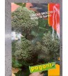 Semi di Cavolo Broccolo Riccio di Sarno - Pagano