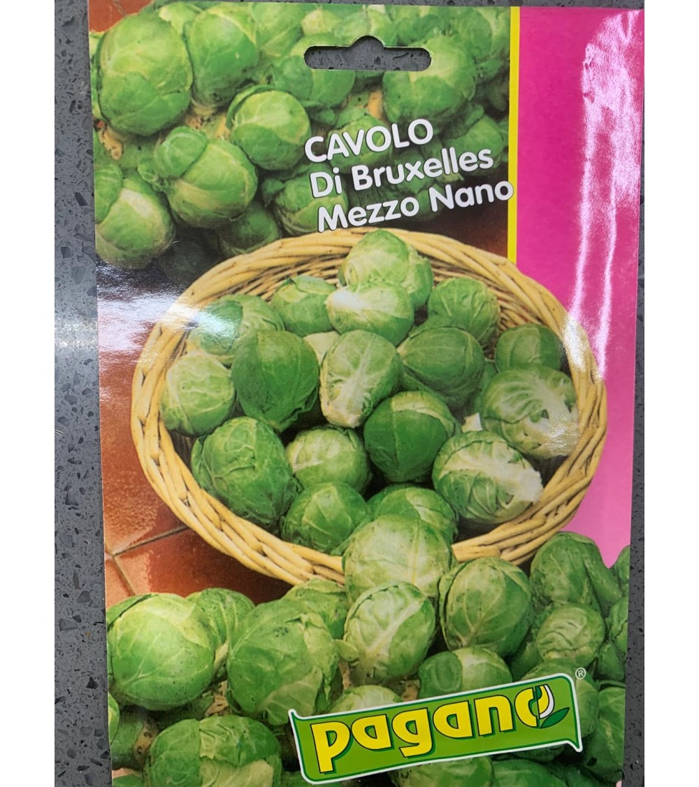 Semi di Cavolo Di Bruxelles Mezzo Nano - Pagano
