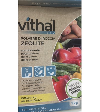 Integratore Polvere di Roccia Zeolite  - Vithal Bio - 1 Kg