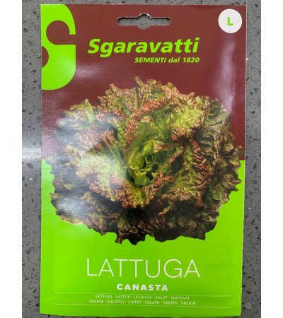 Semi di Lattuga Canasta Rossa - Sgaravatti