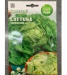 Semi di Lattuga Trocadero - Sgaravatti