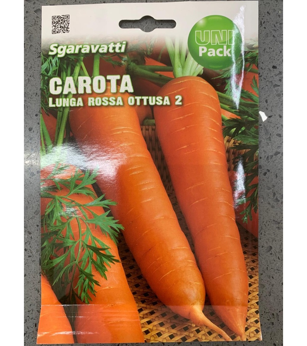 Semi di Carota Lunga Rossa Ottusa 2 - Sgaravatti