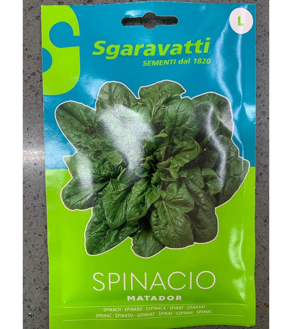 Semi di Spinaci Matador - Sgaravatti