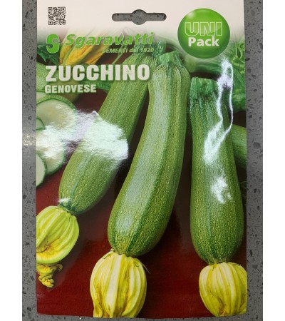 Semi di Zucchino Genovese - Sgaravatti