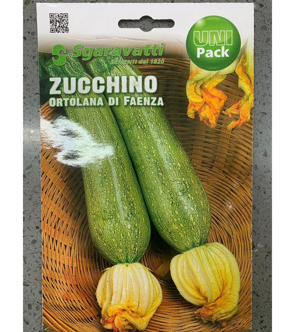 Semi di Zucchino Ortolana di Faenza - Sgaravatti