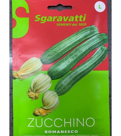 Semi di Zucchino Romanesco - Sgaravatti