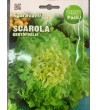 Semi di Scarola Centofoglie - Sgaravatti