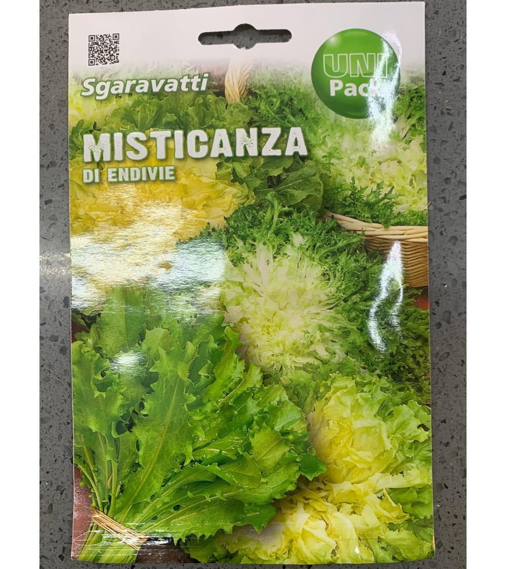 Semi di Misticanza di Endive - Sgaravatti