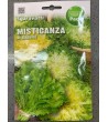 Semi di Misticanza di Endive - Sgaravatti