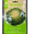 Semi di Endiva Pancalieri - Sgaravatti